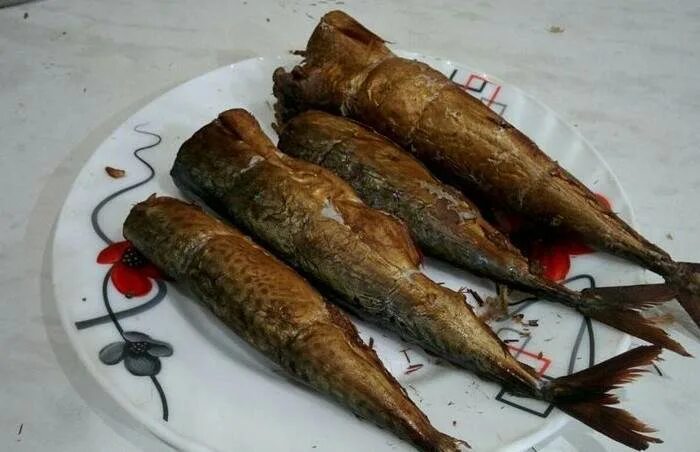 Правильное горячее копчение скумбрии. Копчёная скумбрия в коптильне. скумбрия в коптилке. скумбрия горячего копчения в коптильне. копчение скумбрии в коптильне.