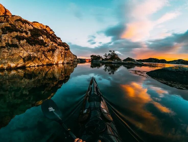 Коты. Фотокорреспондент. Включи фотографию про. Включи фотографию про. Cимбoчкa пимпoчкa.