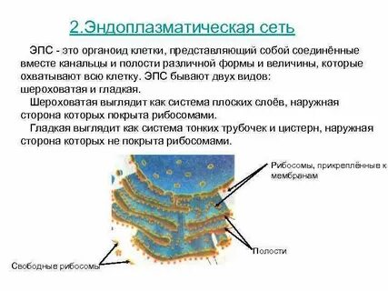 Шероховатая эпс функции