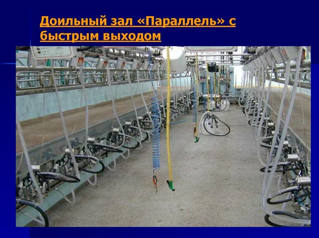 Доильная установка параллель. Доильный зал &quot;параллель 2x18&quot; с асутп. устройство доильного зала параллель. доильный зал с быстрым выходом 2х18 &quot;паралель&quot;. план доильного зала параллель на 80.