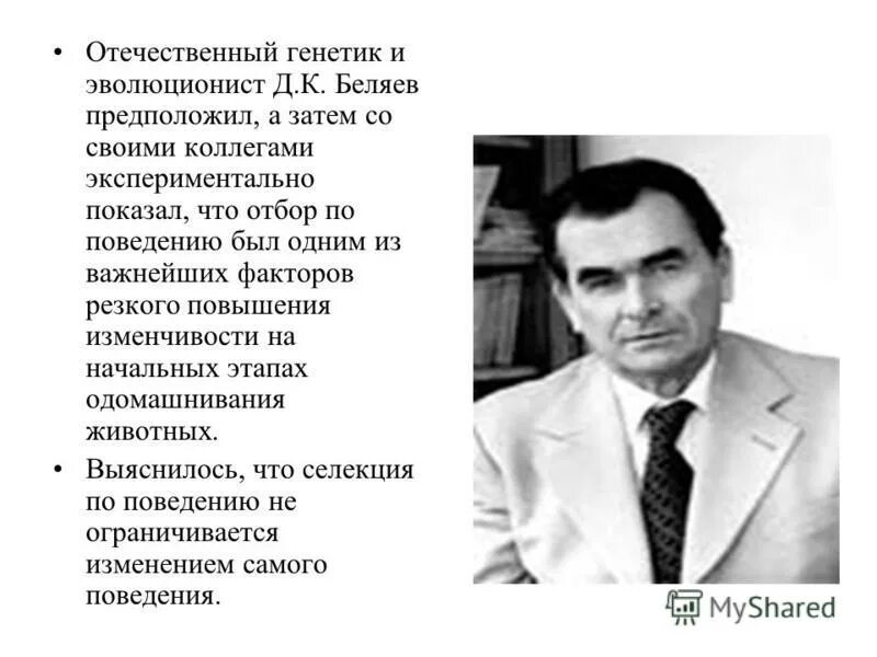 Отечественные ученые генетики. Николай вавилова генетика вклад. История развития генетики. Краткая история генетики. Отечественный генетик.