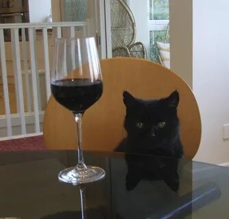 Вино коте