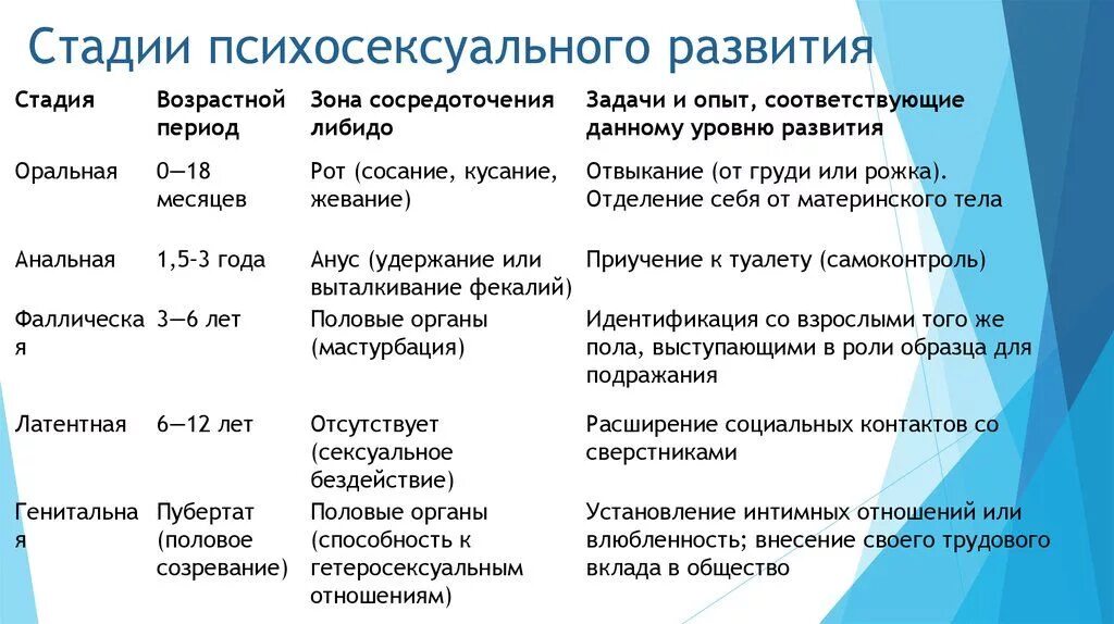 Сколько этапов выделяют в развитии