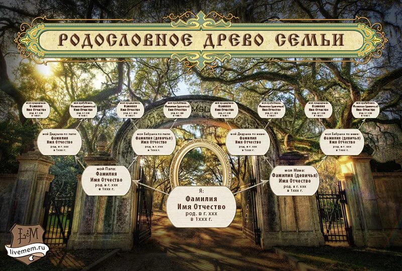 Заполнить родословную таблицу