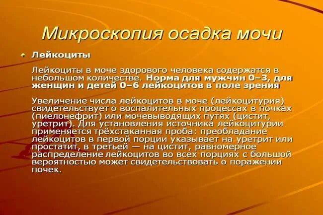 Микроскопия осадка мочи. Микроскопия осадка мочи лейкоциты. У здорового человека лейкоциты в моче. Микроскопия осадка мочи норма у мужчин.