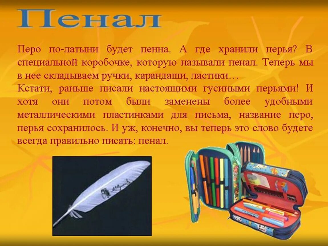 Пенал как пишется правильно. Описание пенала школьного. Описать пенал. Придумать про школьные принадлежности. Пенал описание предмета.