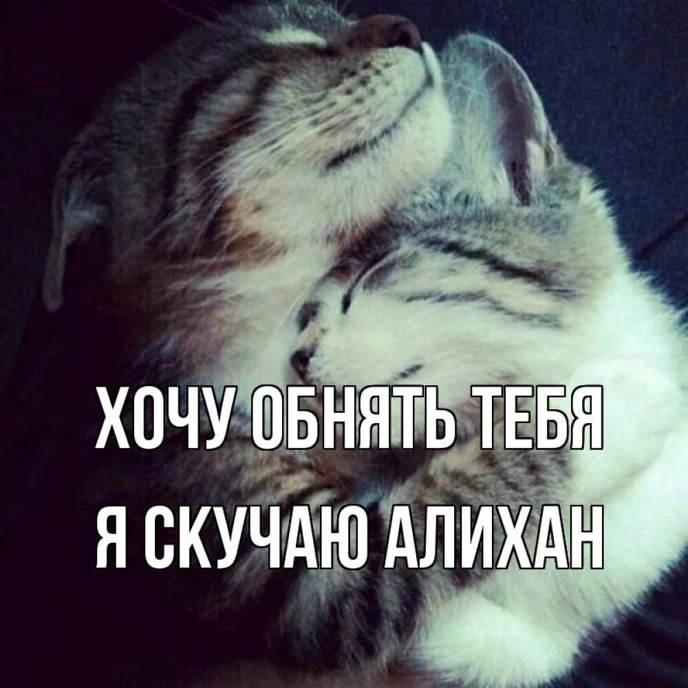 Дай мне любимая тебя обнять. Хочу обнять. Дай мне любимая тебя обнять. Дай мне любимая тебя обнять. Я хочу тебя обнять.