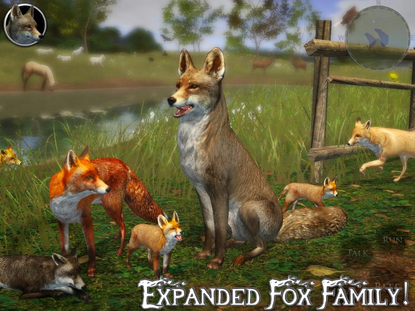 Fox simulator. Ультимейт Фокс симулятор 2. Ультиматум, Фокс, стимулятор, 2. Симулятор лисы 2. Лисы в играх.