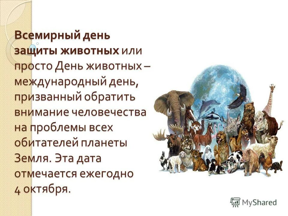 презентация на тему всемирный день защиты животных. международный день защиты животных. всемирный день защиты ж. всемионый дань защитыживотных. 4 октября международный день животных.