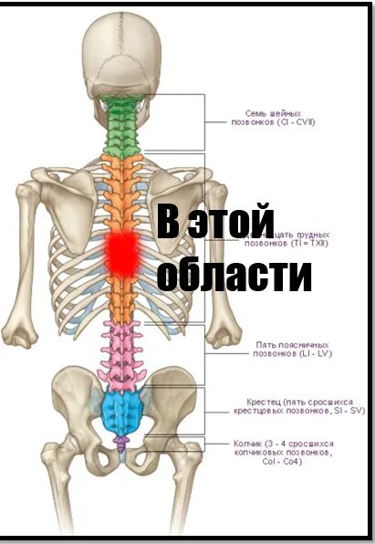 Долго болит позвоночник. Долго сидишь болит спина. Долго сижу болит поясница.