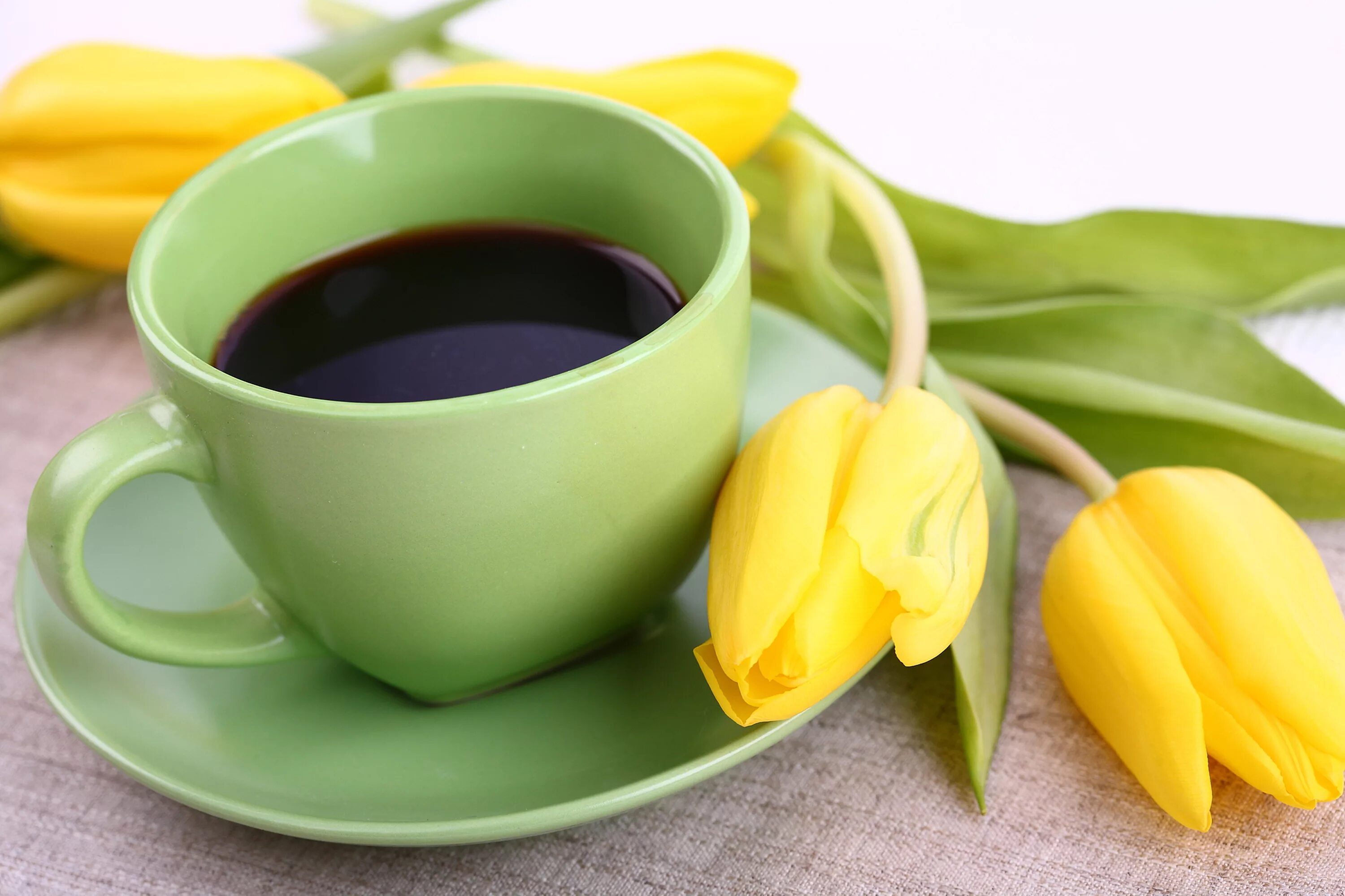 Доброе весеннее утро с тюльпанами. Кофе и цветы. Чайные тюльпаны. Тюльпаны и кофе.