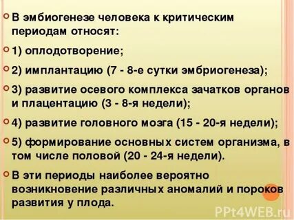 Опасные сроки при беременности