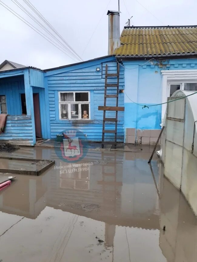 Потоп в частном доме. Двор в Новозыбкове затопило талой водой. Потоп в Нижнем Новгороде. Затопило частный дом