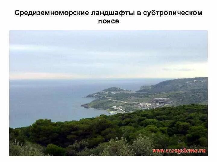 Черты субтропического климата