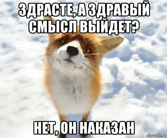 Привет погулять. А Колобок выйдет. Здрасьте а Колобок выйдет. Лиса а Колобок выйдет. А Колобок выйдет погулять.