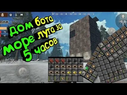 Домашний бота