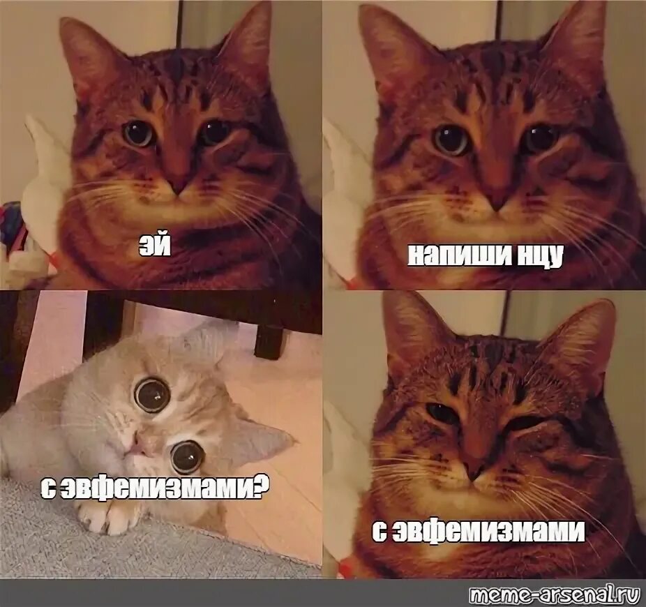 Мемы про извращенцев. Эй ты по ту сторону экрана. Милый мем. Эй напиши мне. Милые мемы.