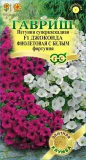 Петуния джоконда белая
