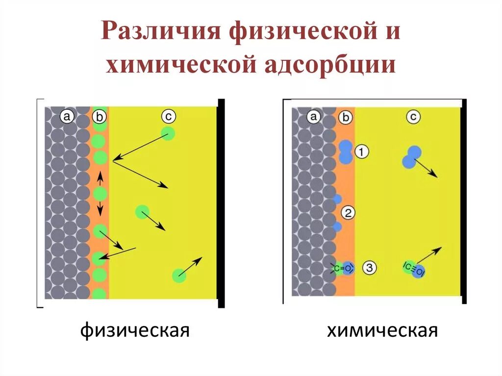 Физические различия. Физическая адсорбция и хемосорбция. Химическая адсорбция характеризуется признаками. Физическая и химическая сорбция. Адсорбция в физической химии.