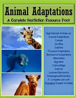 Animal articles