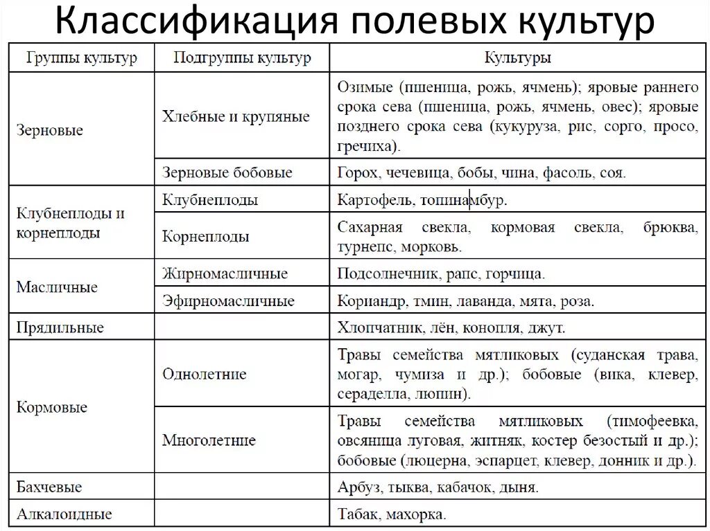 Практическая работа сравнение культурных растений 3 класс. Классификация группировка полевых культур. Классификацией полевых культур по хозяйственному назначению. Классификация сельскохозяйственных растений полевой культуры. Характеристика основных сельскохозяйственных культур.