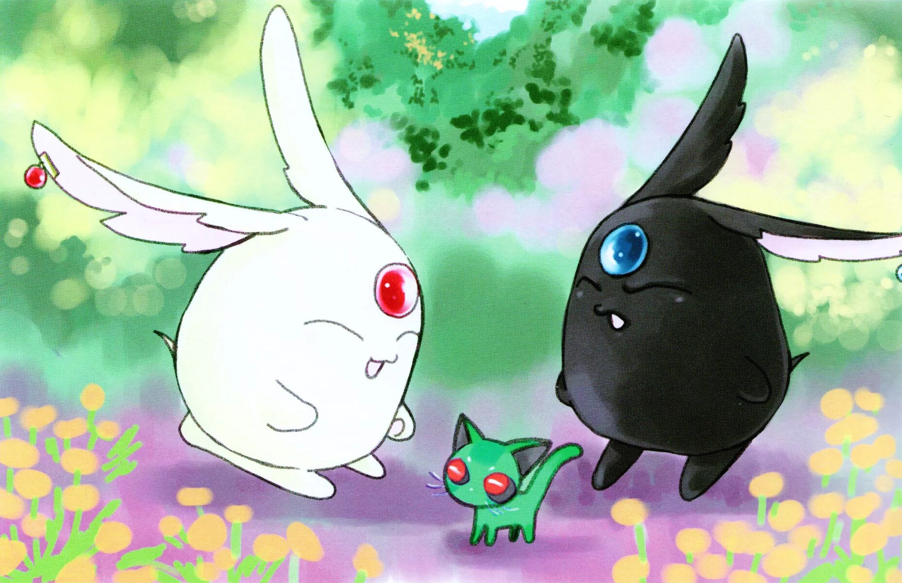 Мокона. Мокона модоки. мокона xxxholic. мокона аниме. соэль мокона.
