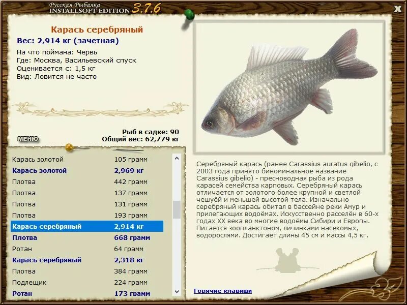 род рыб 5 букв. рр3 карась серебряный. род рыб 5 букв. род рыб 5 букв. пресноводных сигов рода coregonus.