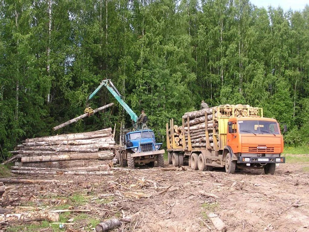 Понссе лесозаготовительный комплекс. Вакансия начальник лесозаготовительного участка. Трелевка леса на тт4. Вакансия начальник лесозаготовительного участка. Харвестер john deere.