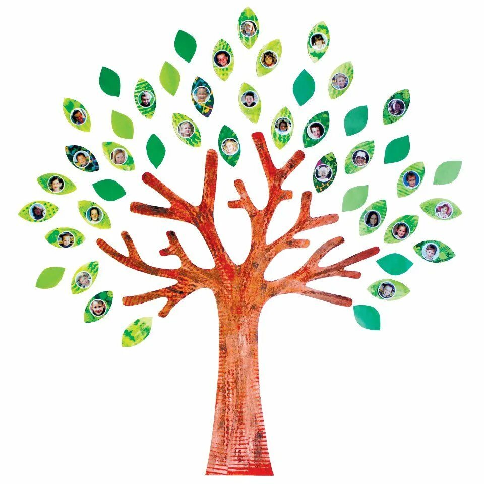 Classes tree