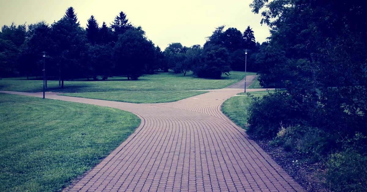 Bridge priority rstp. Well path. Протокол ospf протокол маршрутизации. Well path. Деревянные дорожки в саду.