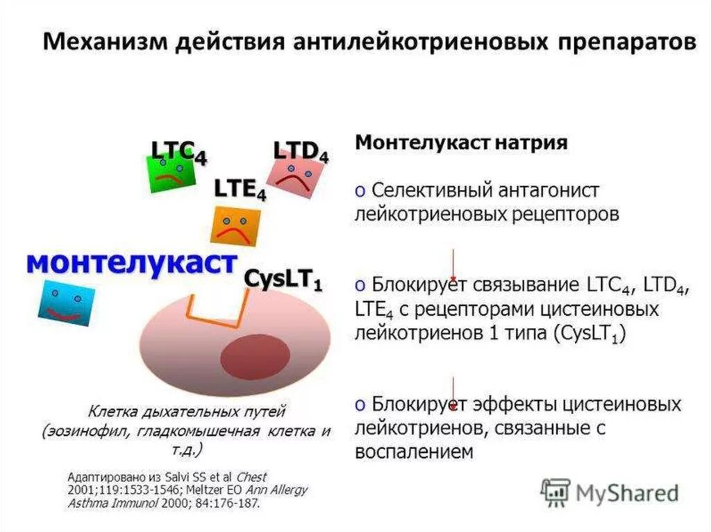 Антагонисты лейкотриеновых рецепторов препараты. Антагонисты рецепторов лейкотриенов. Блокаторы лейкотриеновых рецепторов показания. Блокаторы лейкотриеновых рецепторов препараты. Антагонисты рецепторов лейкотриенов препараты.