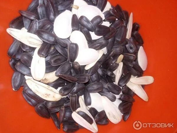 Семечки молодежные упаковка. Семечки от мартина 100гр синий. Семечки. Семечки 3 в 1. Семечки с солью.