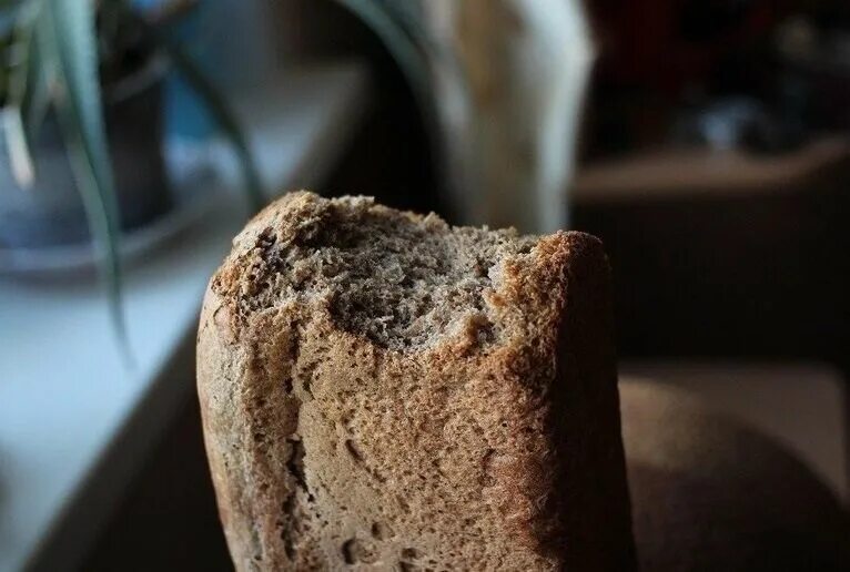 плакат берегите хлеб. недоеденный хлеб. кусок мокрого хлеба. вкусный кусочек хлеба. ломоть хлеба.