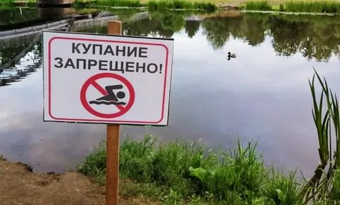 Почему нельзя прыгать в карповое озеро воду