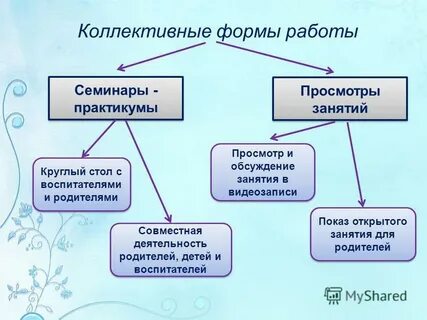 Коллективные формы жизни