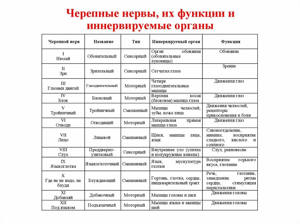 Состав черепных нервов. Функции черепных нервов таблица. 12 Пар черепно мозговых нервов таблица иннервация. Классификация черепно-мозговых нервов по функциям таблица. Функции черепно мозговых нервов таблица.