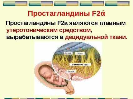 Простагландин f2a препараты
