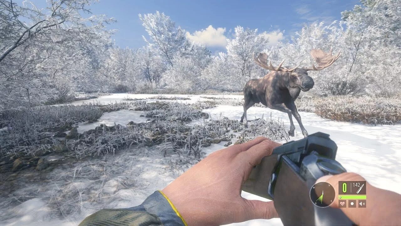 Call of the wild freetp. The hunter call of the wild. hunt call of the wild. the hunter call of the охота. the hunter call of the wild rancho del arroyo.
