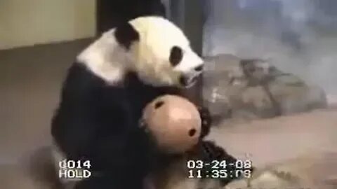 Pandas объединить