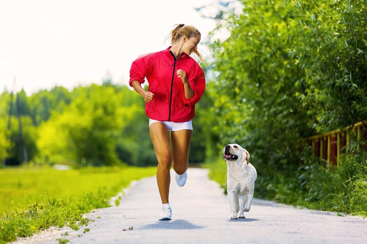 Like taking a walk. Человек бегает с собакой. Пробежка с собакой. Активная прогулка с собакой. Спорт с собакой.