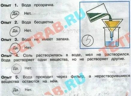 Вода растворяет мел 3 класс
