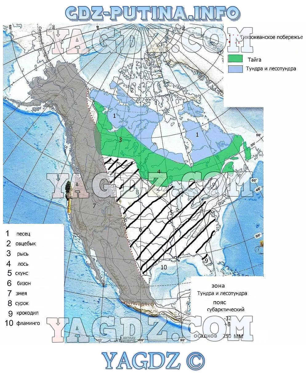 Озера северной америки контурная карта 7 класс. Природные зоны Северной Америки контурная карта. Карта Северная Америка 7 класс география контурная карта. Природные зоны Северной Америки 7 класс география контурная карта.