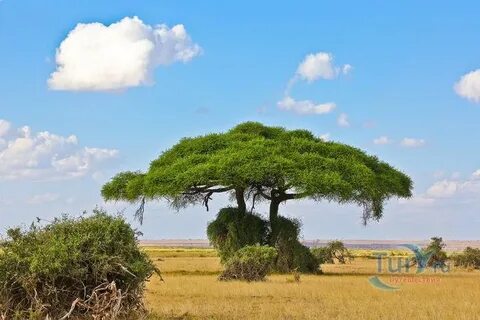 Ең жақсы КСРО порно