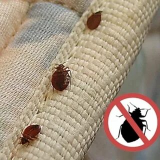 Топтық ретро порно