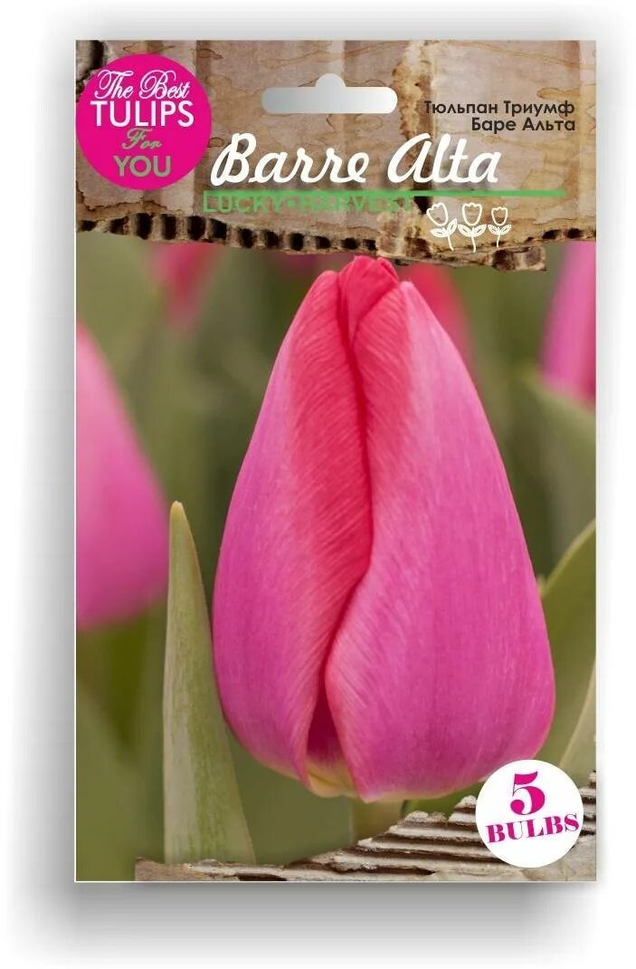 Holland Food & Flowers 2013 Pictures Jan de Wit en Zonen B.V.