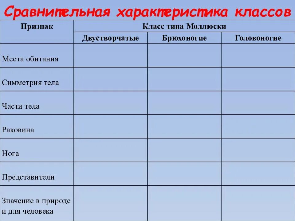 Сравнительная характеристика основных классов моллюсков таблица 7. Характеристика типа моллюски таблица. Характеристика типа моллюски 7 класс биология таблица. Таблица классы моллюсков 7 класс биология. Брюхоногие признаки таблица