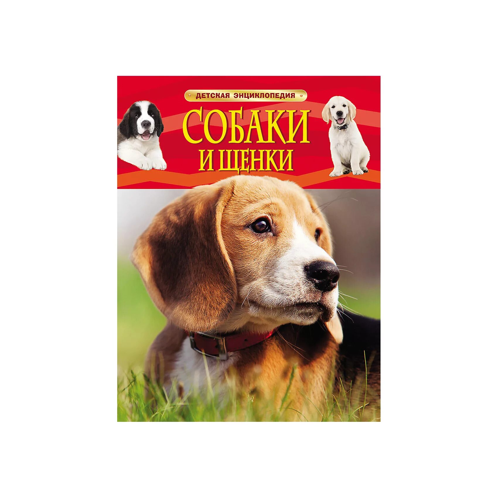 Собаки. Узнай мир. Книга собаки школьный путеводитель. Книги про собак. Книги про собак 2 класс.