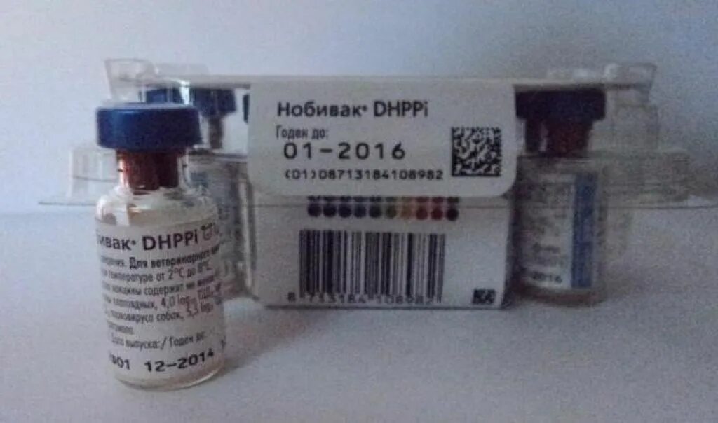 Вакцина рабиген. Нобивак DHPPI Lepto Rabies. Нобивак DHPPI Nobivac DHPPI. Диашпипиай вакцина Нобивак. Вакцины для собак Нобивак DHPPI+Lepto+Rabies.