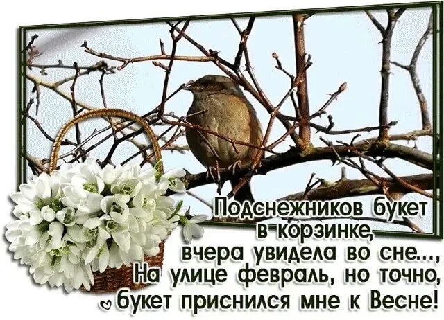 Февраль цитаты. Открытки скоро весна. февраль скоро весна. открытки ждем весну. с наступающей весной.