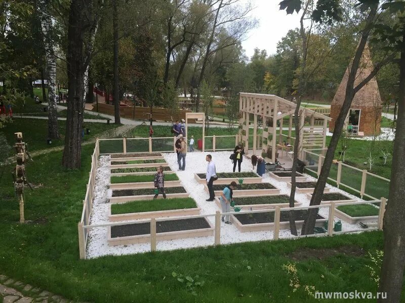 Огород мгу аптекарский ботанический. Павильон оранжерея вднх. Выставка на вднх сад. Вднх ферма оранжерея. Павильон городская ферма на вднх.